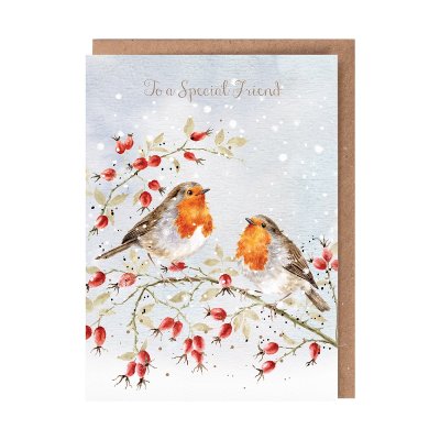 Robin special friend Christmas card