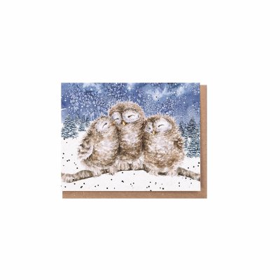 Three owls on a branch gift enclosure card