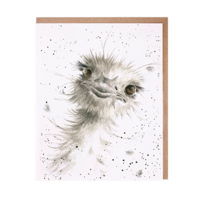 Ostrich greeting card