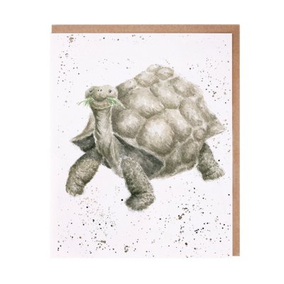Tortoise greeting card