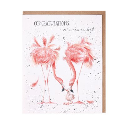 Flamingo new baby card