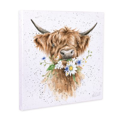 Daisy Coo Highland cow canvas print