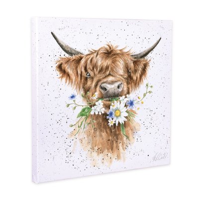 'Daisy Coo' canvas