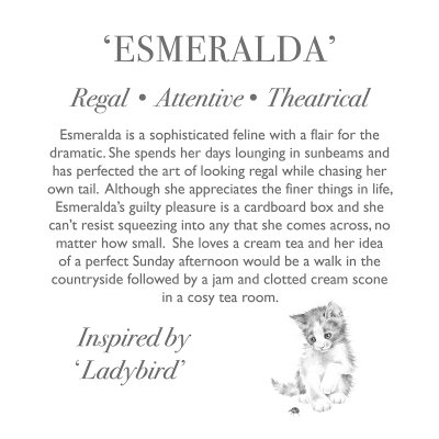 'Esmeralda' Cat Character