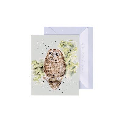Owl on a branch illustrated mini card