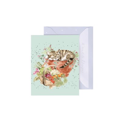 Sleeping cat in a plant pot illustrated mini card