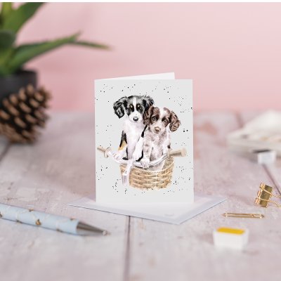 'Pedals and Paws' Spaniel Gift Enclosure Card