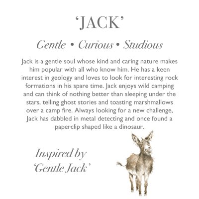 'Jack' Donkey Character