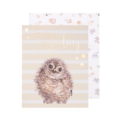 owl your'e expecting greeting card