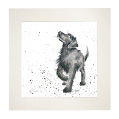 'Walkies' Labrador mounted print
