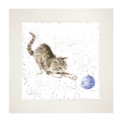'Kitty' cat mounted print