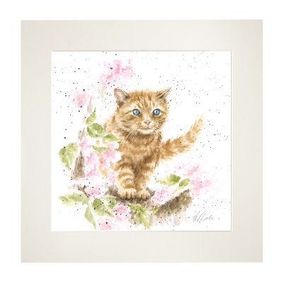 'The Marmalade Cat' cat mounted print