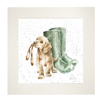 'Hopeful' Labrador mounted print