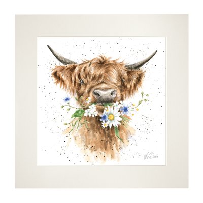 'Daisy Coo' highland cow mounted print