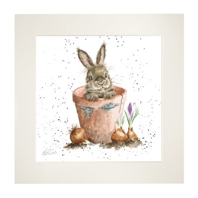 'The Flower Pot' rabbit Mounted Print