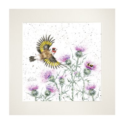 'Feathers and Thistles' Bird Mounted Print