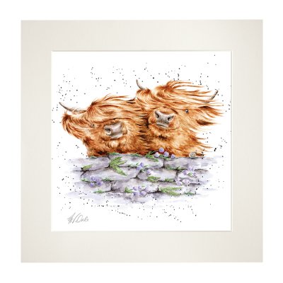 'Blown Away' Highland Cow Mounted Print