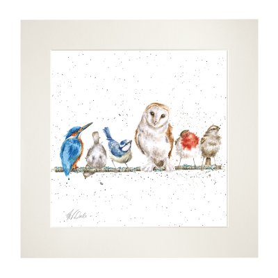 'The Variety of Life' Bird Mounted Print