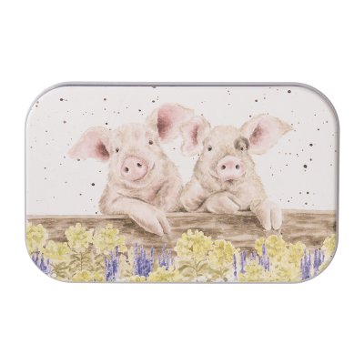 Mini tin with pig design