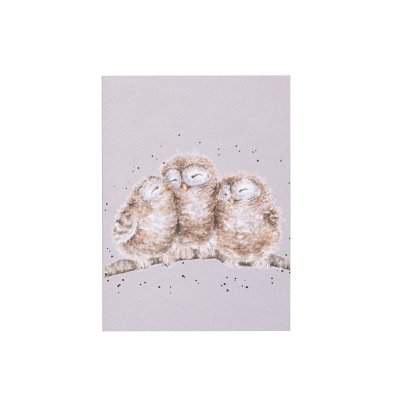3 owlets sleeping on a branch on an A6 paperback notebook