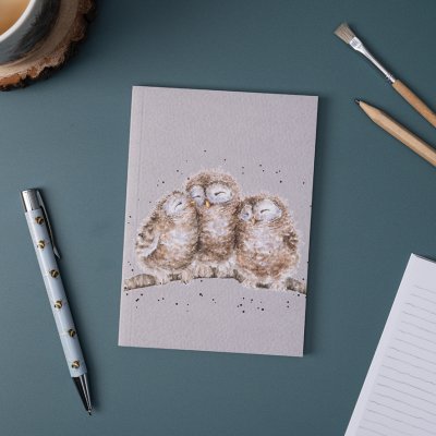 3 owlets sleeping on a branch on an A6 paperback notebook