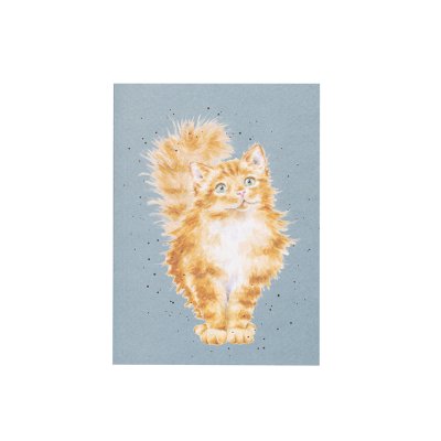 A ginger fluffy cat on an A6 paperback notebook. 