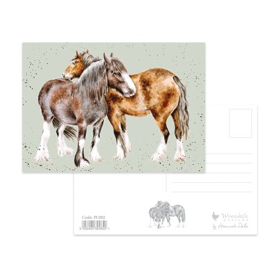 Horse postcard