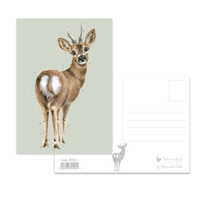 Roe deer postcard