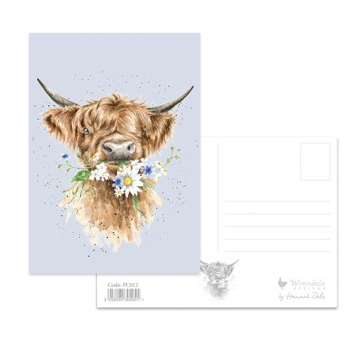Highland cow postcard