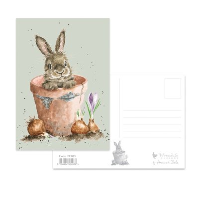 Rabbit and flower pot postcard