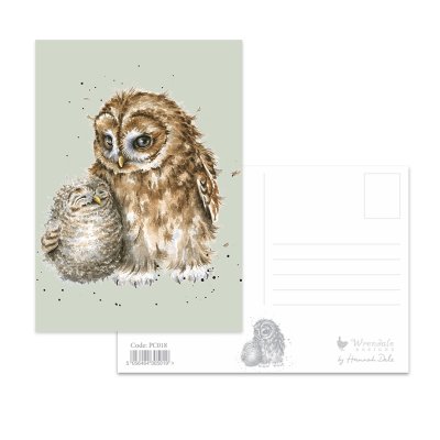 Owl postcard