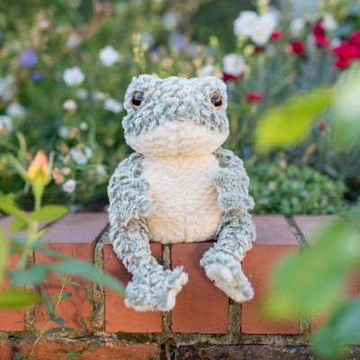 'Elliott' Frog Character