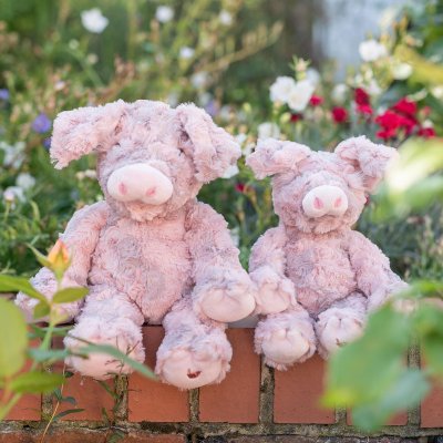'Vanessa Junior' Pig Character