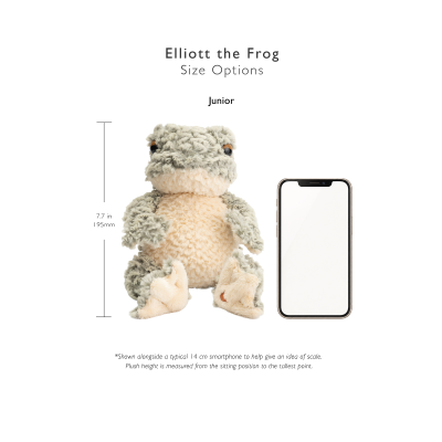 'Elliott' Frog Character