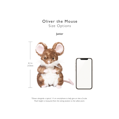 'Oliver' Mouse Character