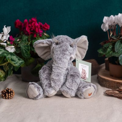 'Winnie ' Elephant Plush Character