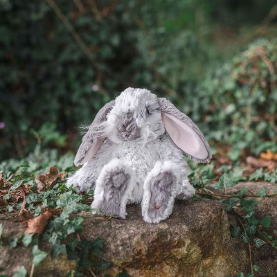'Rosie' Rabbit Character