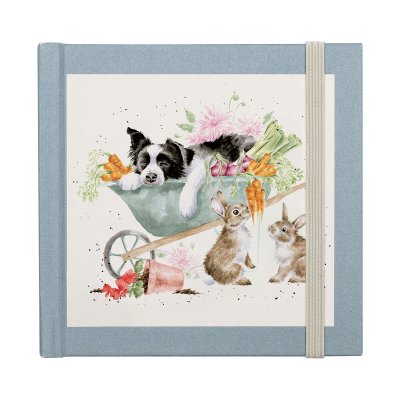 'Sleeping on the Job' Border Collie and Rabbit Password Book