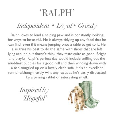 &#039;Ralph&#039; Labrador Character
