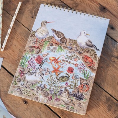 'Secrets of the Sea' Nature Sketchbook 