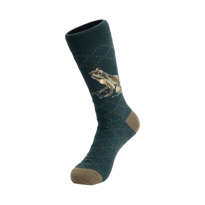 'The Happy Frog' Frog Men's Socks