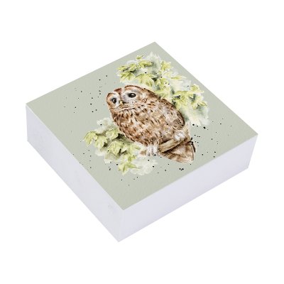 Owl on a branch illustrated sticky notes