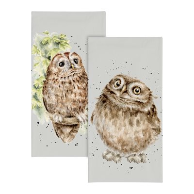 Owl illustrated pocket tissues