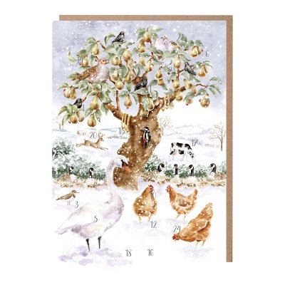 'Twelve Days of Christmas' animal advent calendar