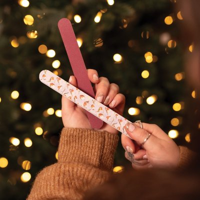 'Season's Tweetings' Robin Christmas Nail File