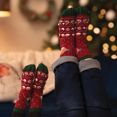 'Season's Tweetings' Robin Men's Socks