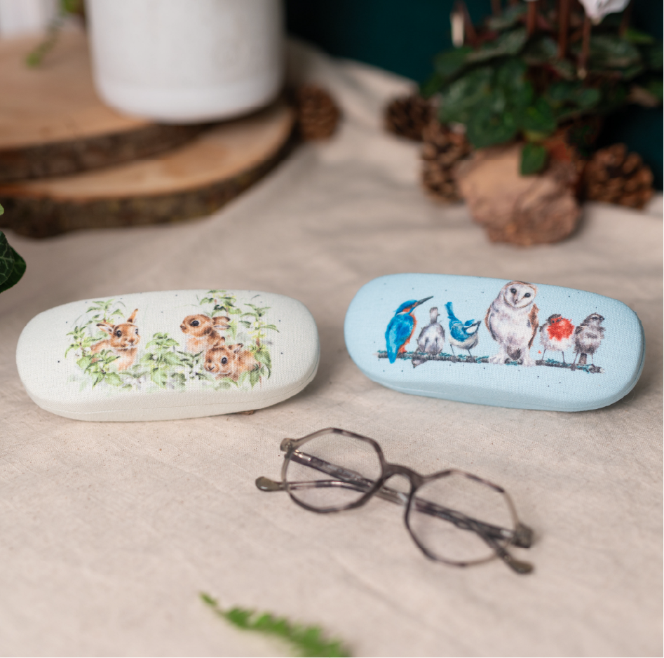 GLASSES CASES