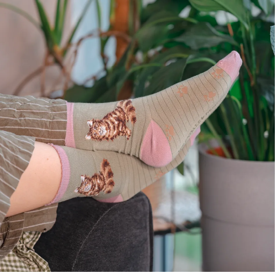 SOCKS