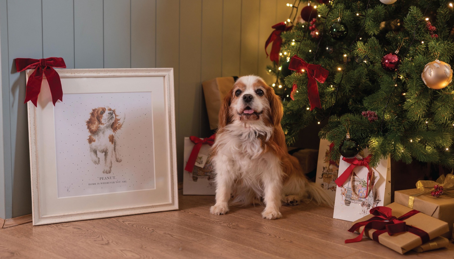 Your Story, Your Christmas