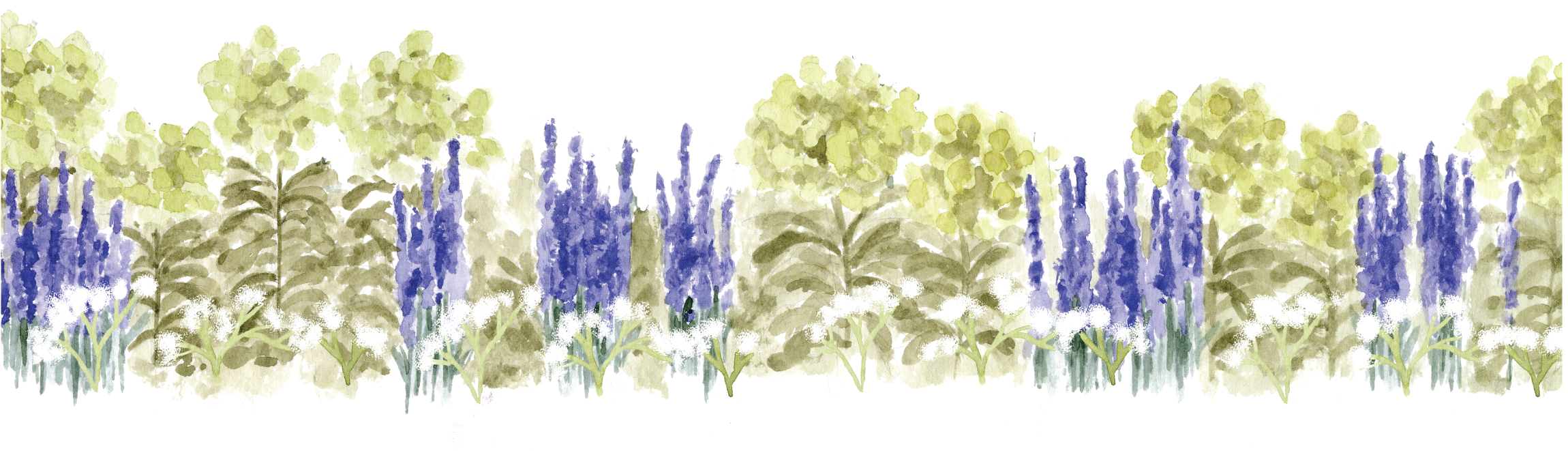 Watercolor illustration of wildflowers